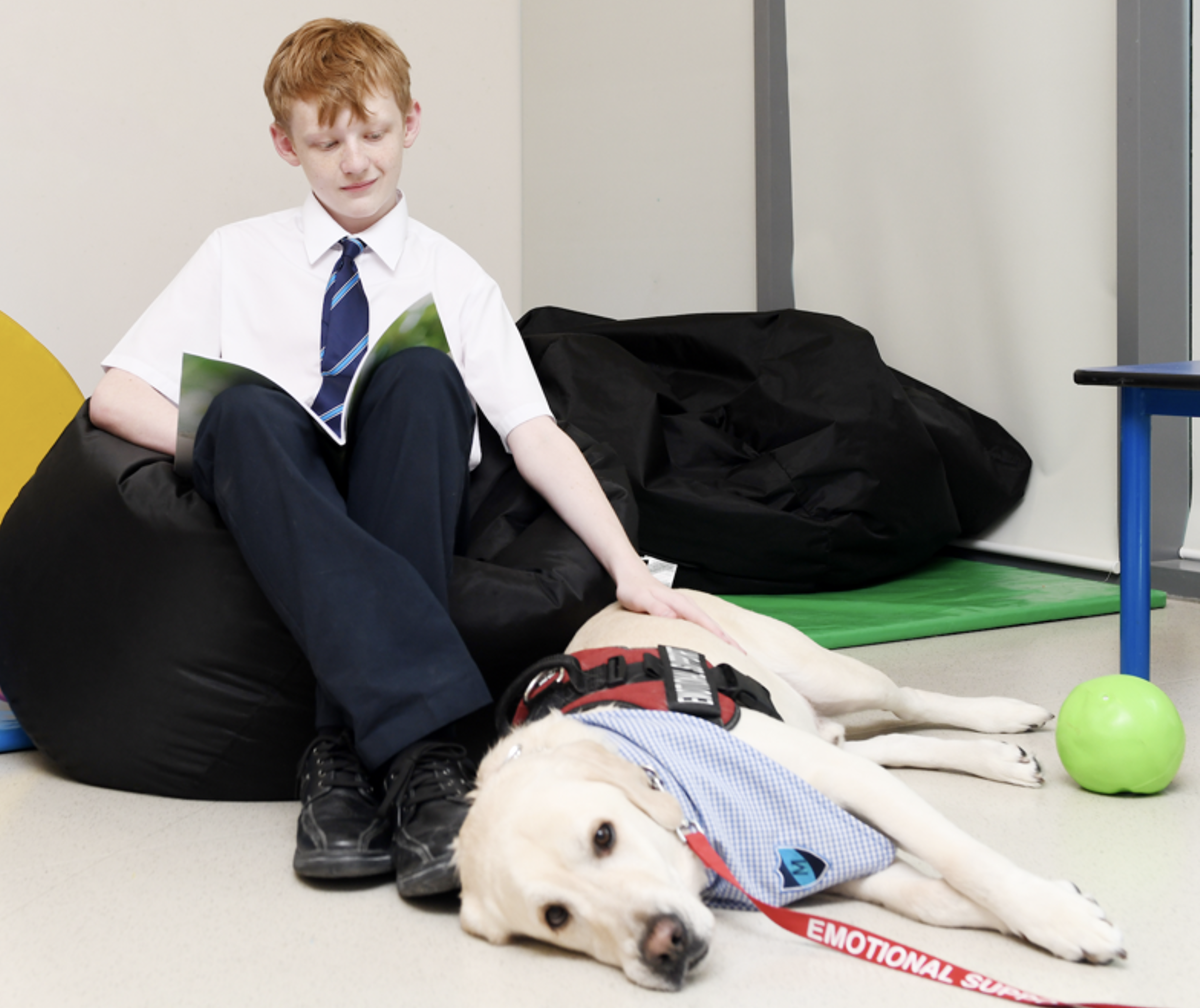 Student with Emotional Support Animal